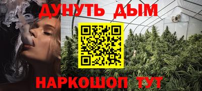 mdpv Можга