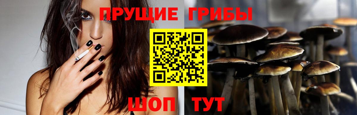 Галлюциногенные грибы Cubensis Усолье-Сибирское